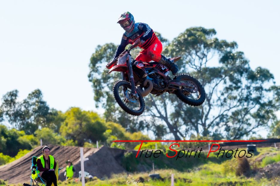 Click Image to goto Weblink