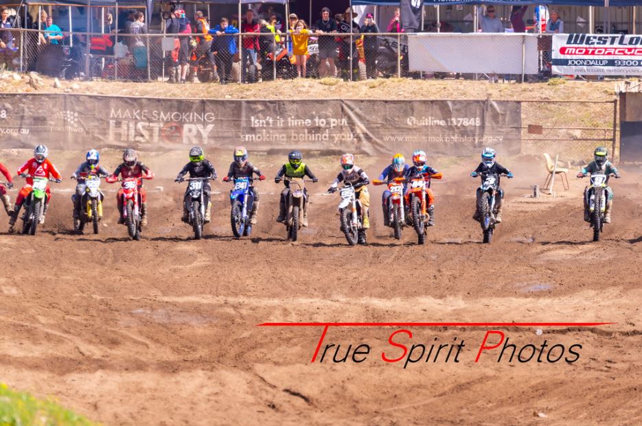 Click Image to goto Weblink