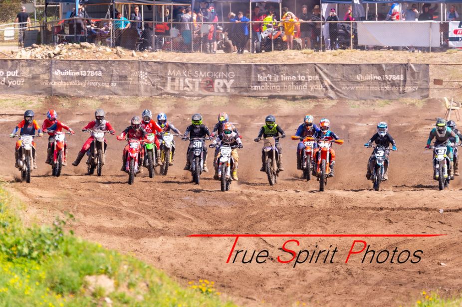 Click Image to goto Weblink