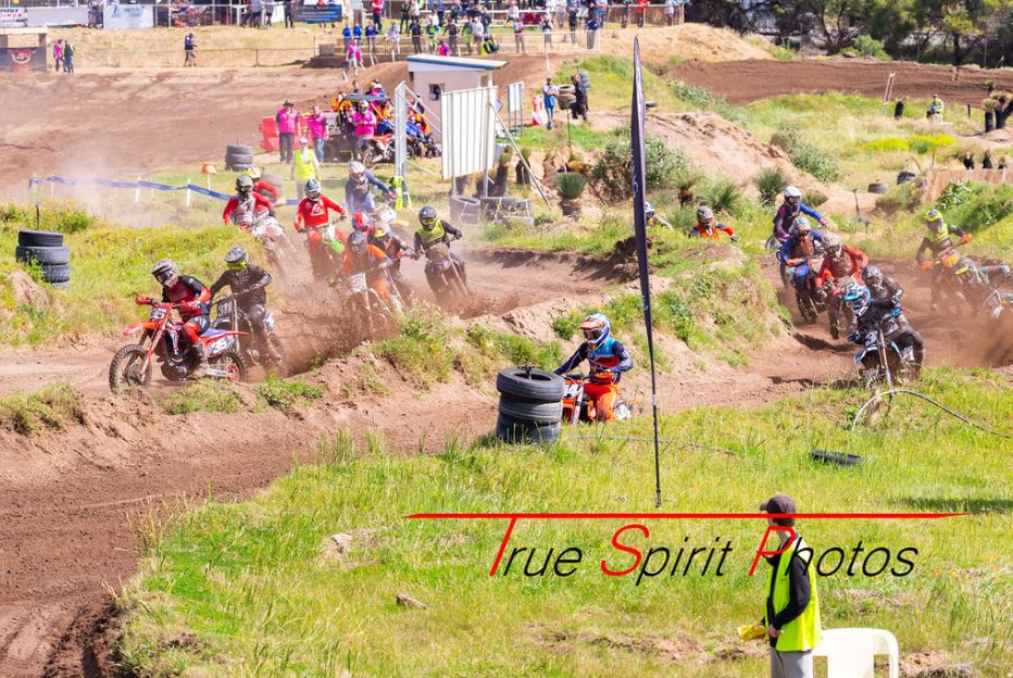 Click Image to goto Weblink