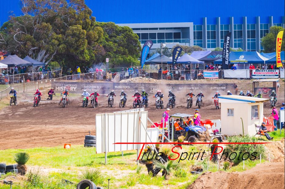 Click Image to goto Weblink