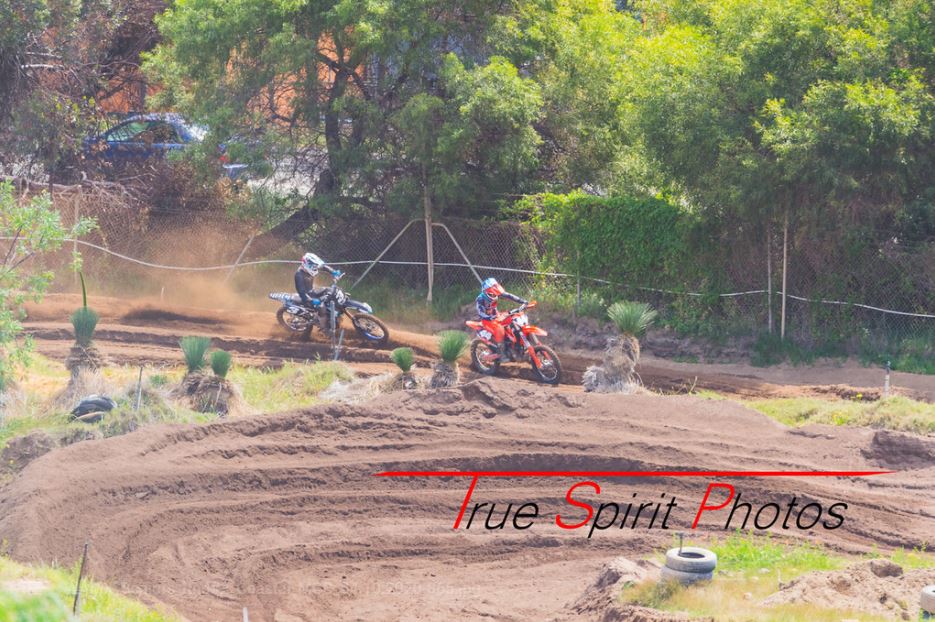 Click Image to goto Weblink