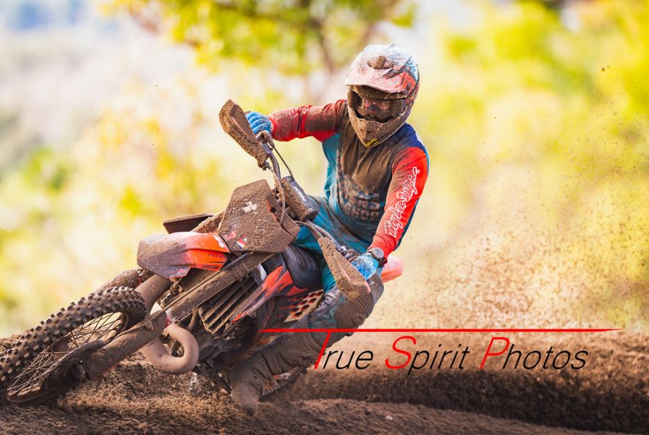 Click Image to goto Weblink