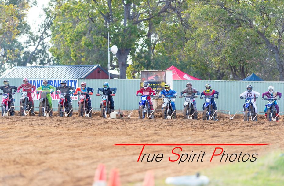 Click Image to goto Weblink