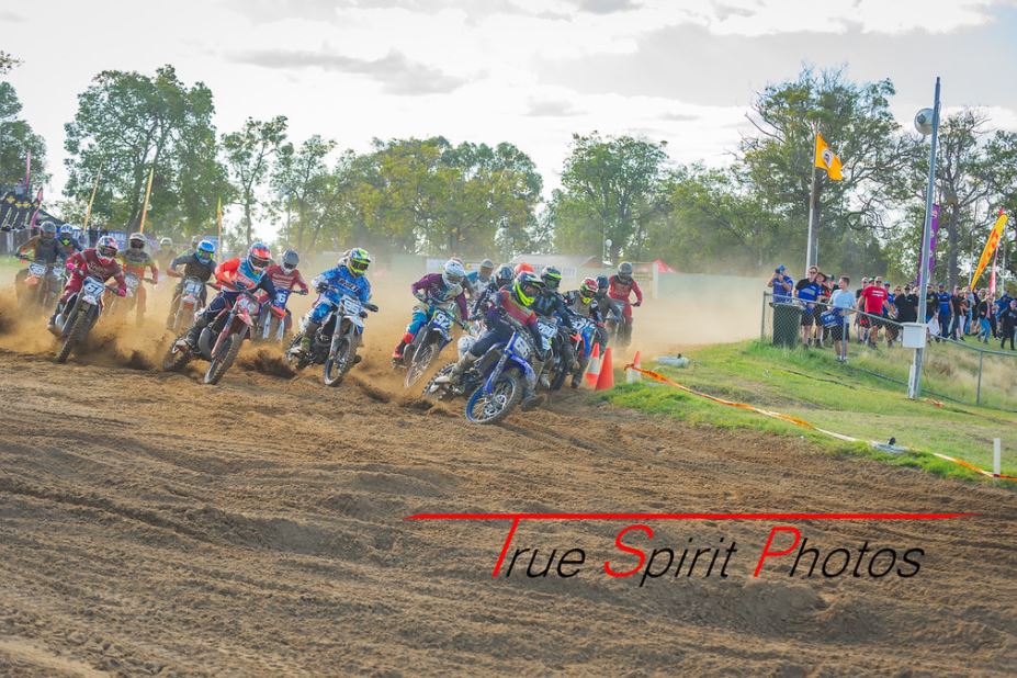 Click Image to goto Weblink