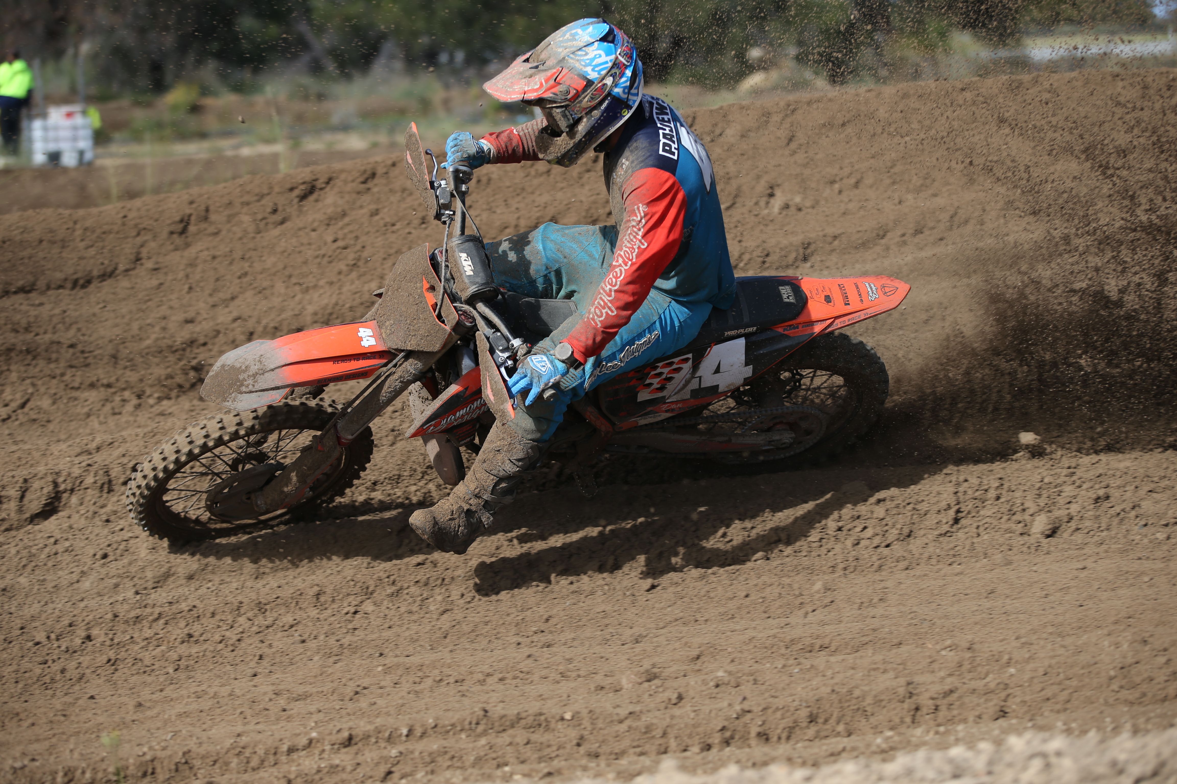 Click Image to goto Weblink