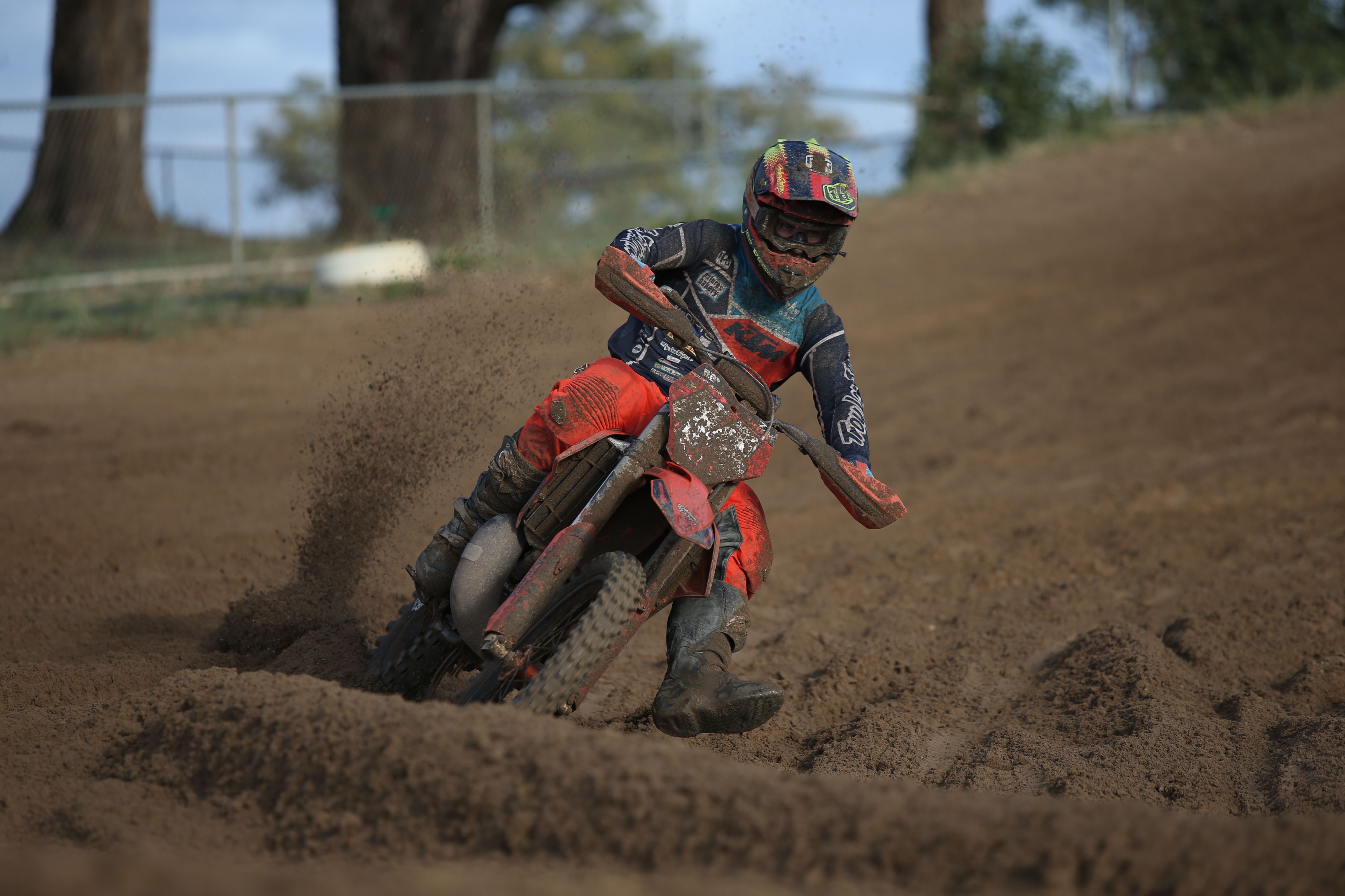 Click Image to goto Weblink