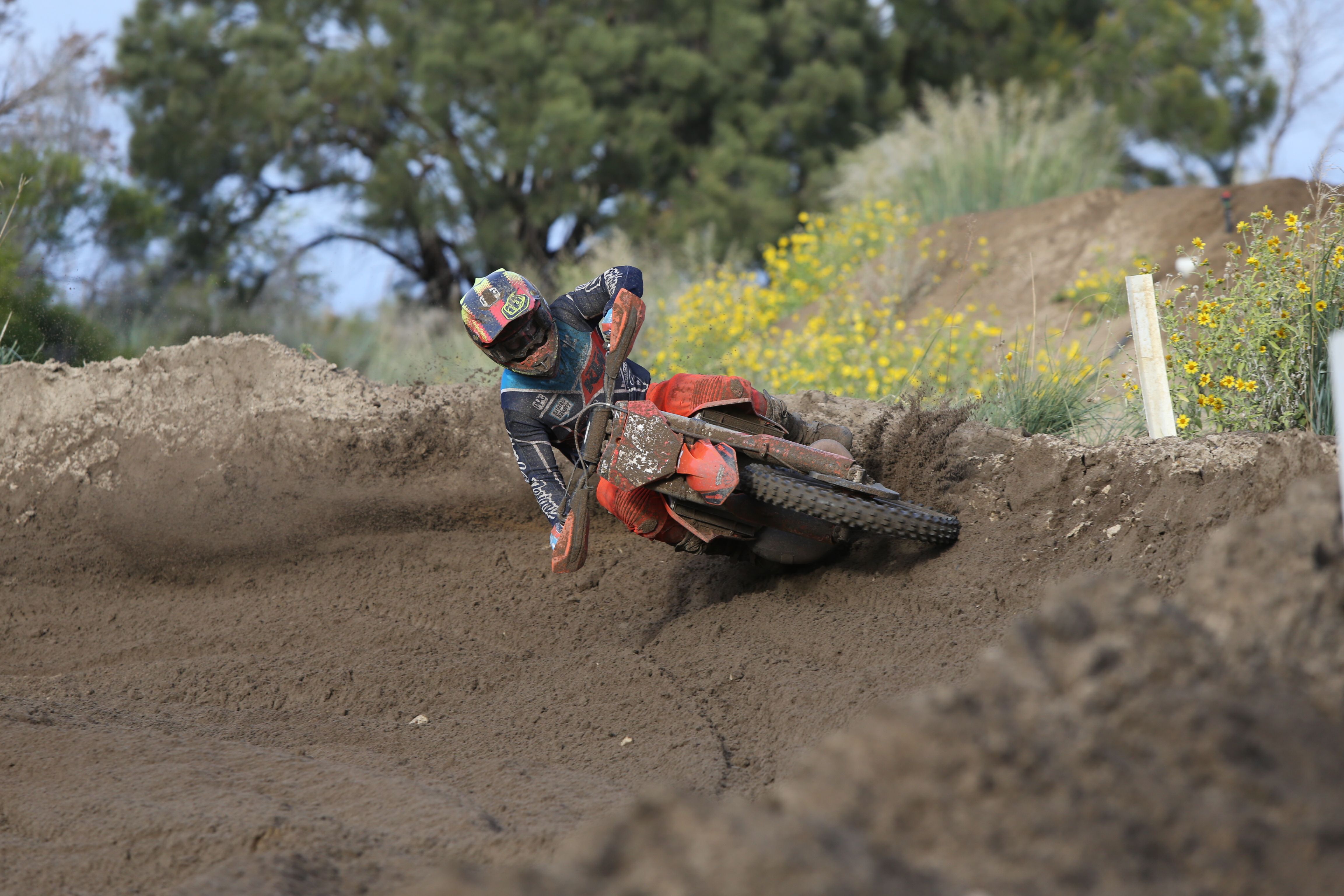 Click Image to goto Weblink