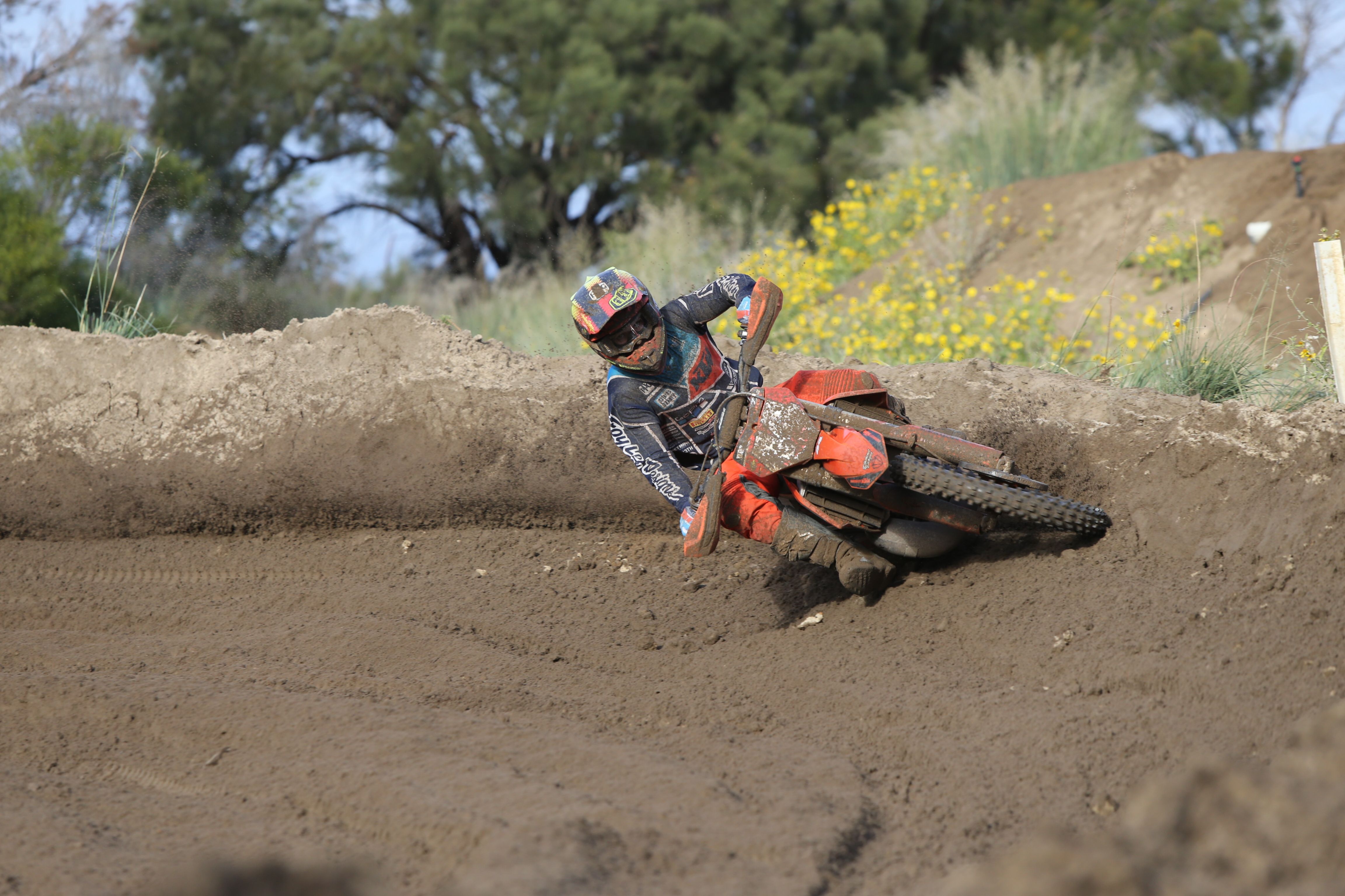 Click Image to goto Weblink