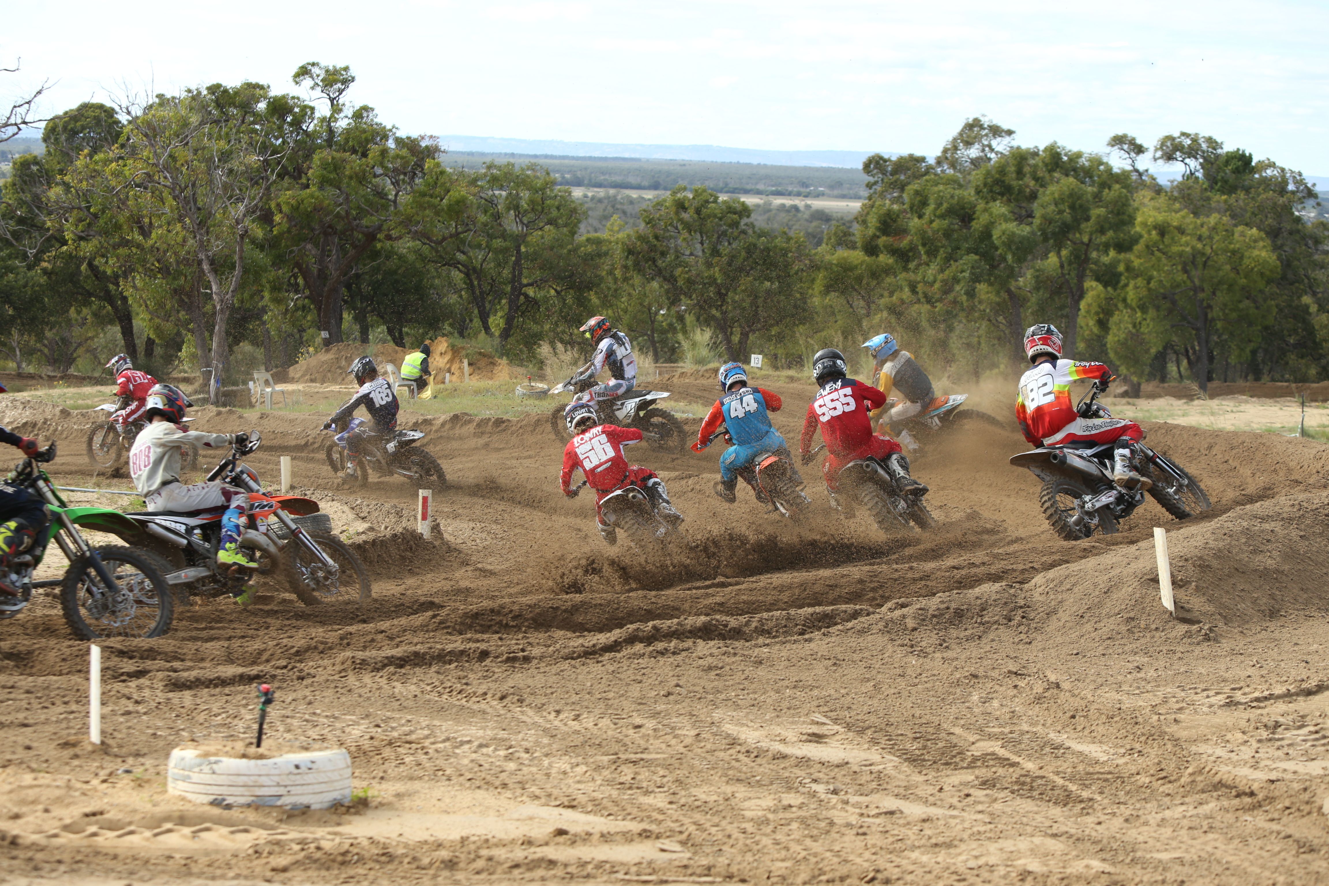 Click Image to goto Weblink