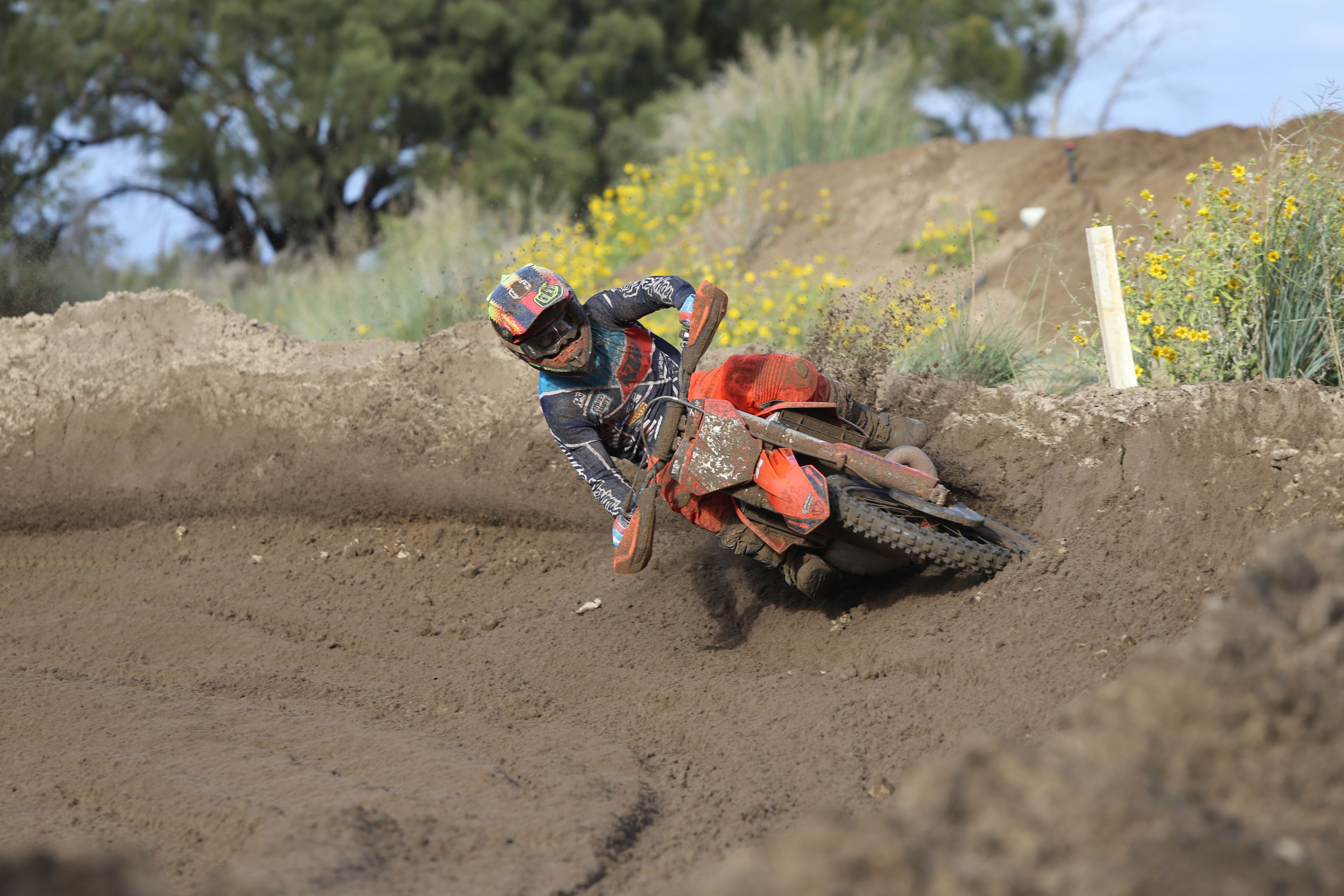 Click Image to goto Weblink