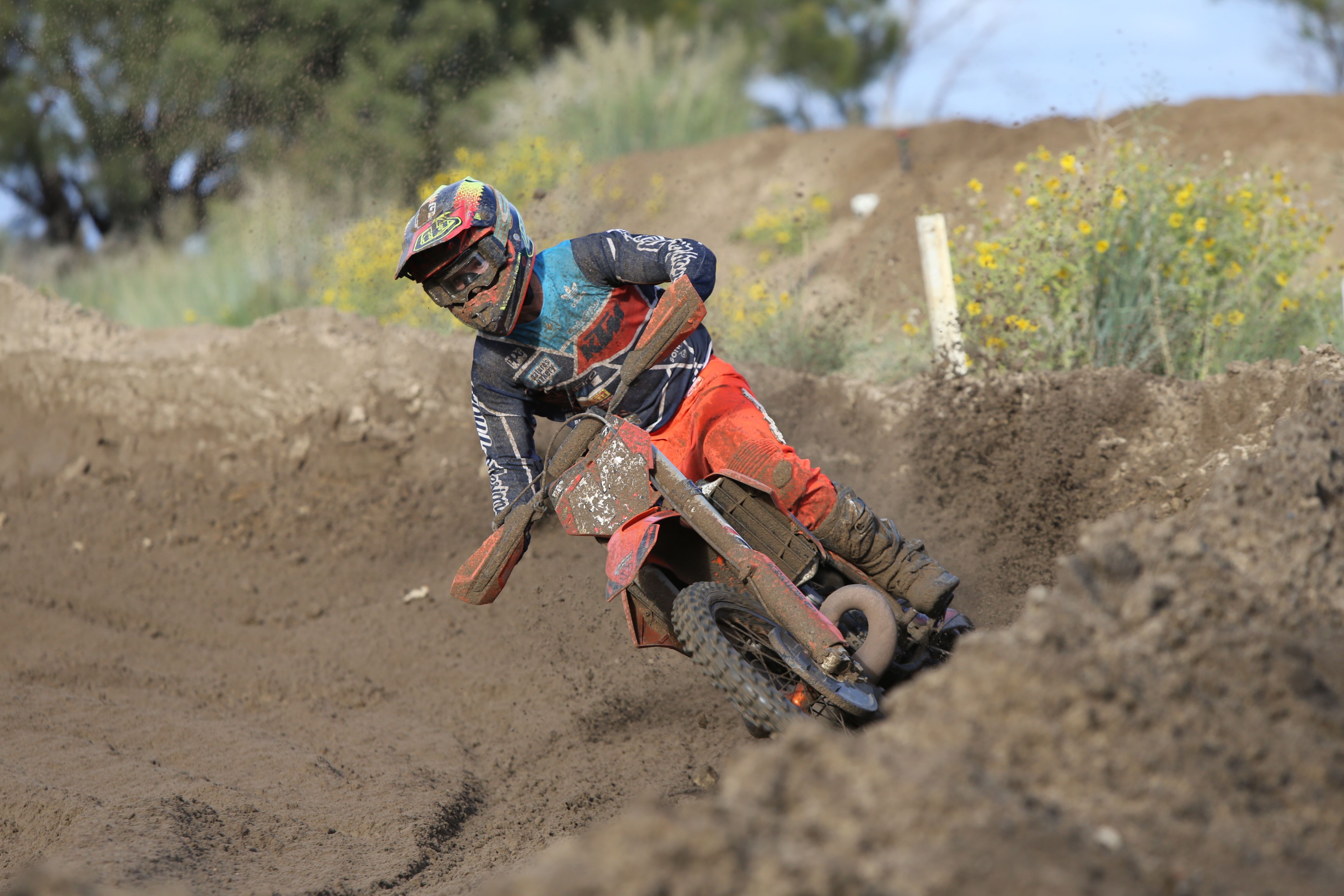 Click Image to goto Weblink