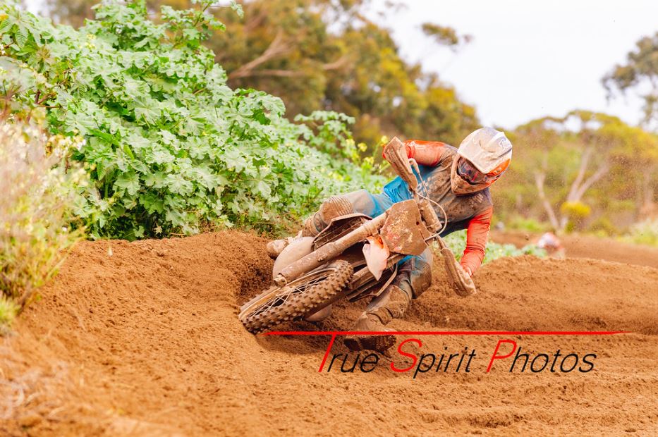 Click Image to goto Weblink