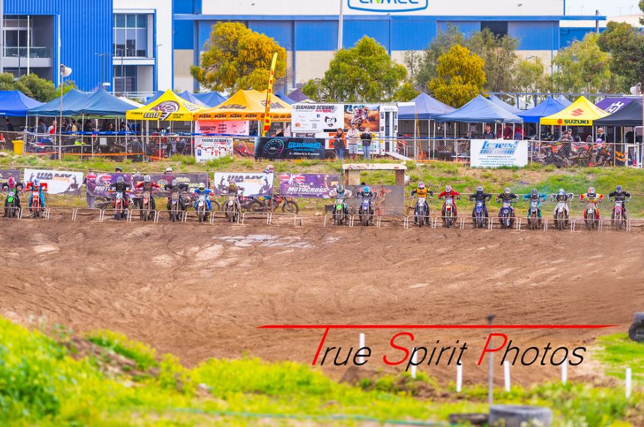 Click Image to goto Weblink