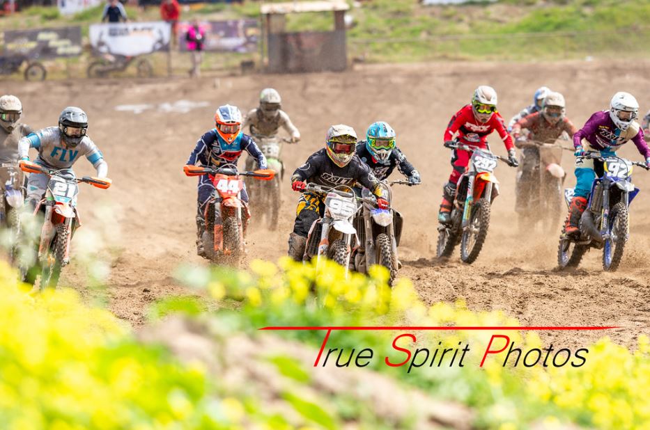 Click Image to goto Weblink