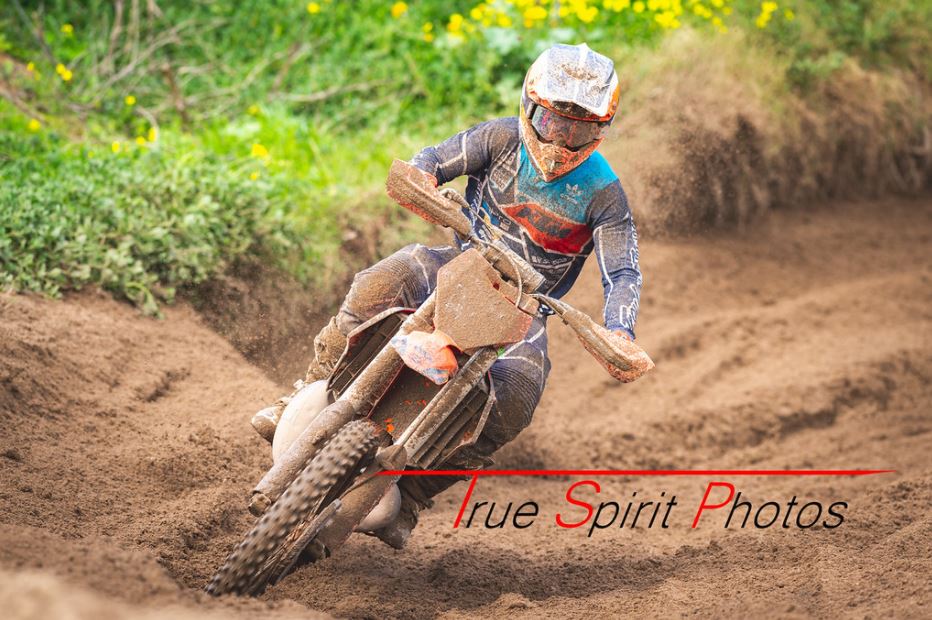 Click Image to goto Weblink